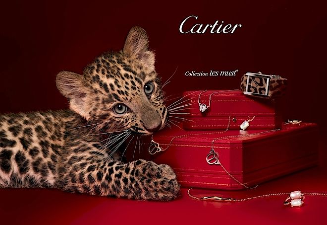 Biżuteria Cartier. 10 najlepszych marek biżuterii na świecie